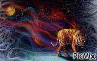 Contest Tigri - Darmowy animowany GIF