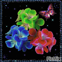 Flowers and Butterfly animowany gif