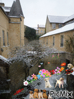 petit jardin à chien et à fleurs - Bezmaksas animēts GIF