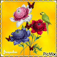fleurs perroquet papillons animēts GIF