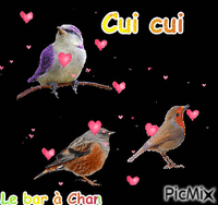 cuicui - 無料のアニメーション GIF