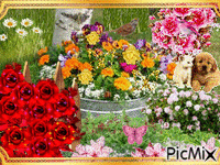 PRETTY FLOWERS IN A TUB AND AROUND THE TUB, A CAT, A DOG, AND A BUTTERFLY. - 免费动画 GIF