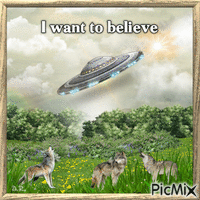 I want to believe - Das Unerklärliche