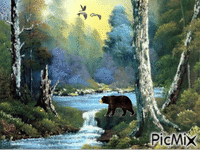 Black Bear animovaný GIF