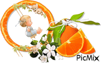 Orange!!! Animated GIF