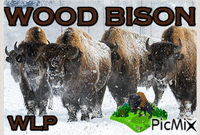 WOOD BISON WLP (5) - Бесплатный анимированный гифка