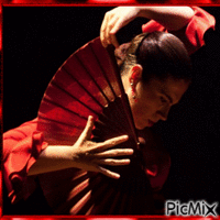 Flamenco - Free animated GIF