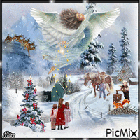 Winter angel - 😇 Contest .