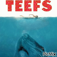 TEEFS - GIF animé gratuit
