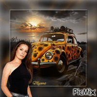 Femme et auto avec des tournesols Animated GIF