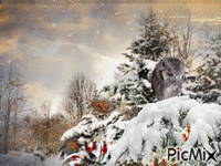 C chouette l'hiver - GIF animé gratuit