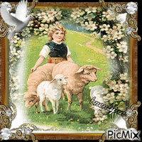 Pretty little lambs and  child