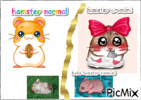 hamster cromimi animovaný GIF