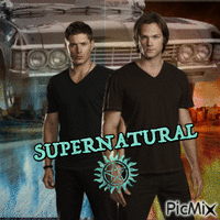 Winchester brothers - Free animated GIF