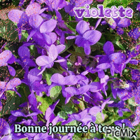violette - Бесплатный анимированный гифка