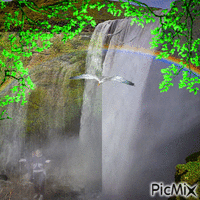 У водопада. - GIF animate gratis