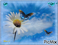 Fleur et papillons - GIF animé gratuit
