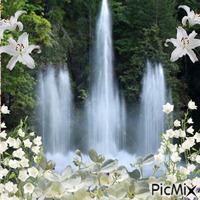Fleurs blanches - besplatni png