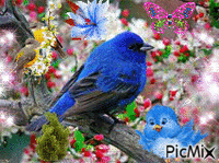 les oiseaux - GIF animate gratis