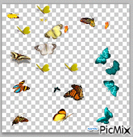papillom,borboleta GIF animasi
