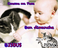 chat alors !! Animated GIF