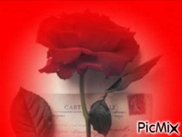 Valentín. animēts GIF