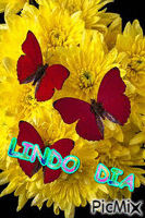 LINDO DIA - Zdarma animovaný GIF