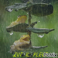 pluie GIF animasi