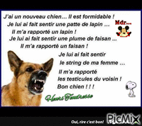 Blague : Un chien formidable animowany gif