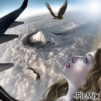 Voler avec les oiseaux GIF animasi