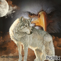 L'aigle & le loup animovaný GIF