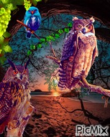 OWL animasyonlu GIF