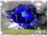 Mary Castro - Zdarma animovaný GIF