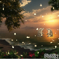 la baie du paradis - Animovaný GIF zadarmo