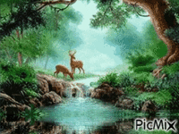 nature animovaný GIF