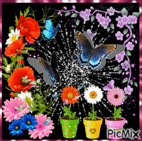 flowers анимиран GIF