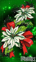 vianočná ruža animoitu GIF