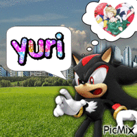 WHAT DID SHADOW SAY? animuotas GIF