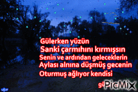 gülten akın - Бесплатный анимированный гифка