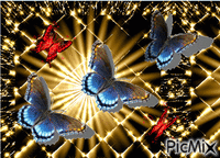 borboleta1 - Ilmainen animoitu GIF