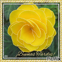 Rosa Amarilla geanimeerde GIF