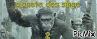 planete des singe 2 - 免费动画 GIF