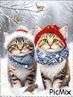 Котики зимой. Gif Animado