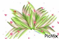 pink blooms - GIF animasi gratis