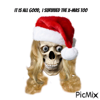 it is all good, I  survived X-Mas too アニメーションGIF