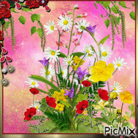 Fleurs des Champs - Free animated GIF