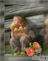 enfant et pommes animált GIF