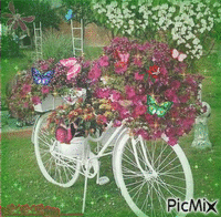ébauche vélo fleuri animovaný GIF