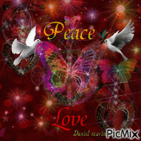 Peace  and love