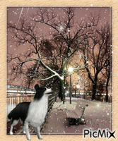Paysage avec neige - Безплатен анимиран GIF
